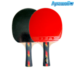 Ракетка для настольного тенниса арт. 25586-319