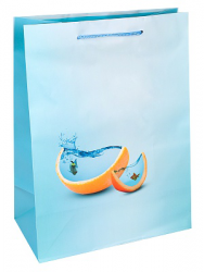 Пакет подарочный с матовой ламинацией 26,4x32,7x13,6 см (L) Фантастический апельсин,157г. ППК-7423