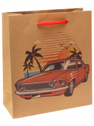 Пакет подарочный из крафт-бумаги 16х18х7 см (craft S) Машина в тропиках, 130 г ППК-6243
