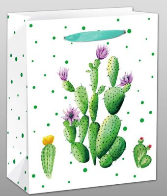 Dream cards Пакет подарочный с матовой ламинацией Кактус с цветочками 18х23х10 см (M),210 г ППД-9611
