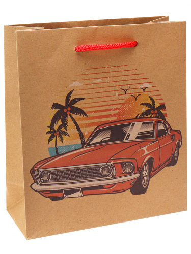 Пакет подарочный из крафт-бумаги 16х18х7 см (craft S) Машина в тропиках, 130 г ППК-6243